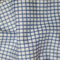 Checks/Grids