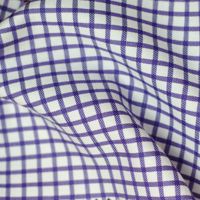 Checks/Grids