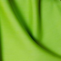 Bright Lime T516