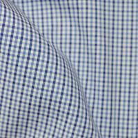 Checks/Grids
